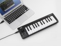 KORG microKEY 25